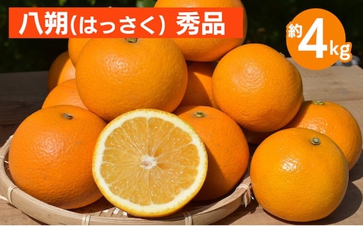 和歌山県産 八朔 4kg 秀品 ※2026年1月上旬～3月下旬頃に順次発送予定