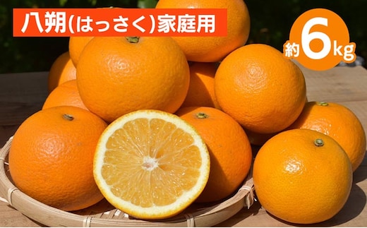 和歌山県産 八朔 6kg 家庭用 ※2026年1月上旬～3月下旬頃に順次発送予定