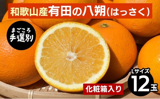 【まごころ手選別】和歌山産有田のはっさく 化粧箱 Lサイズ12個入り ※2026年1月上旬～3月下旬頃に順次発送予定