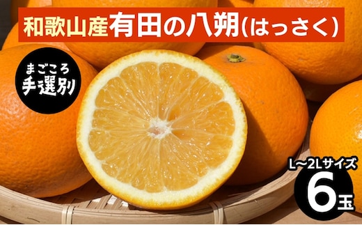 【まごころ手選別】和歌山産有田のはっさく(6玉×1箱、L～2Lサイズ) ※2026年1月上旬～3月下旬頃に順次発送予定