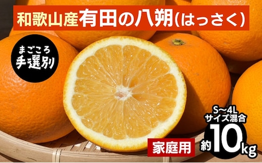 【まごころ手選別】有田の八朔(はっさく)約10kg(S～4Lサイズ混合)家庭用 ※2026年1月上旬～3月下旬頃に順次発送予定