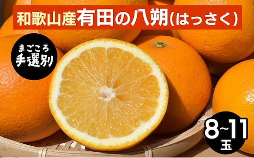 【まごころ手選別】和歌山産有田のはっさく 8～11玉 ※2026年1月上旬～3月下旬頃に順次発送予定