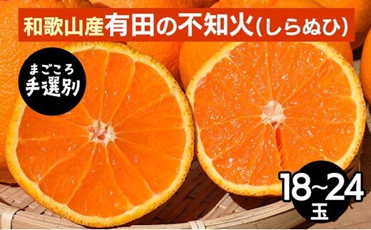 【まごころ手選別】和歌山産 有田の不知火(しらぬひ)18玉～24玉 ※2026年2月上旬～4月下旬頃に順次発送予定