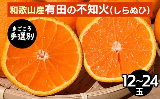 【まごころ手選別】和歌山産 有田の不知火(しらぬひ)12玉～24玉 ※2026年2月上旬～4月下旬頃に順次発送予定