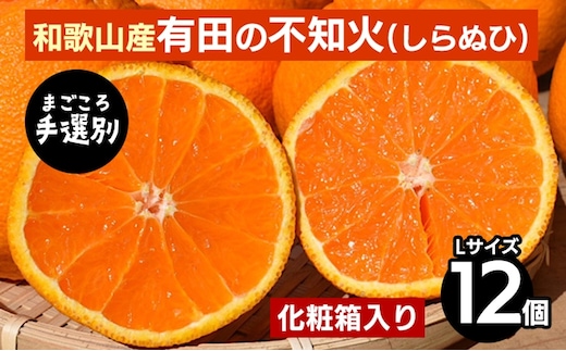 【まごころ手選別】和歌山産 有田の不知火(しらぬひ) 化粧箱(フルーツキャップ付き)Lサイズ12個入り ※2026年2月上旬～4月下旬頃に順次発送予定