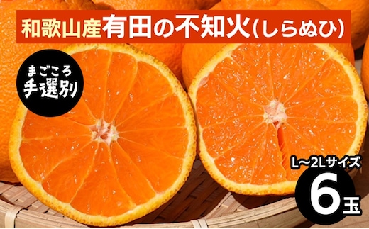 【まごころ手選別】和歌山産 有田の不知火(しらぬひ)(6玉×1箱、L～2Lサイズ) ※2026年2月上旬～4月下旬頃に順次発送予定