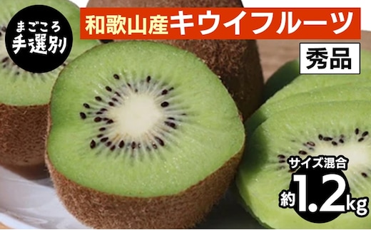 【まごころ手選別】和歌山産 キウイフルーツ 約1.2kg(サイズ混合) 秀品 ※2026年1月下旬～3月中旬頃に順次発送予定