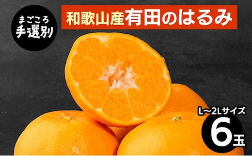【まごころ手選別】和歌山産 有田のはるみ(L～2Lサイズ) 6玉 1箱 ※2026年1月中旬～2月下旬頃に順次発送予定