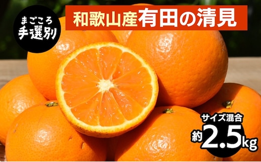 【まごころ手選別】和歌山産 有田の清見 約2.5kg(サイズ混合) ※2026年3月上旬～4月下旬頃に順次発送予定
