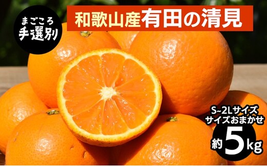 【まごころ手選別】和歌山産 有田の清見 5kg(S～2Lサイズ)サイズおまかせ ※2026年3月上旬～4月下旬頃に順次発送予定