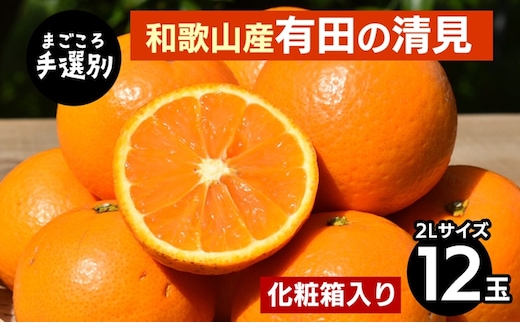 【まごころ手選別】和歌山産 有田の清見 化粧箱 2Lサイズ 12個入り ※2026年3月上旬～4月下旬頃に順次発送予定