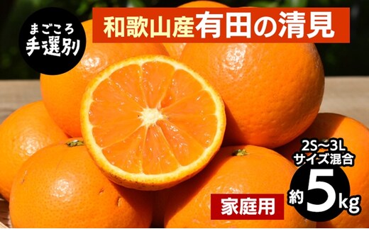 【まごころ手選別】和歌山産 有田の清見 約5kg(2S～3Lサイズ混合)【家庭用】 ※2026年3月上旬～4月下旬頃に順次発送予定