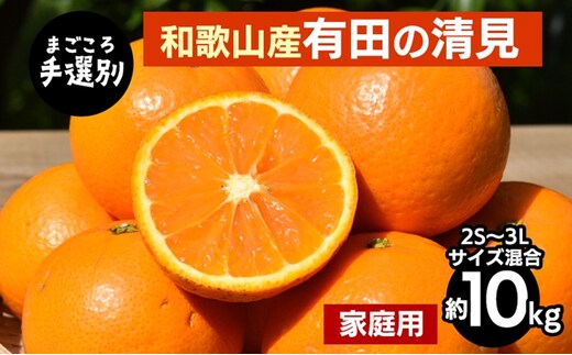 【まごころ手選別】和歌山産 有田の清見 約10kg(2S～3Lサイズ混合)【家庭用】 ※2026年3月上旬～4月下旬頃に順次発送予定