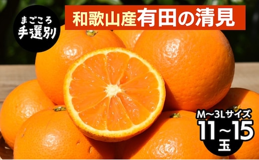 【まごころ手選別】和歌山産 有田の清見 11玉～15玉(M～3Lサイズ) ※2026年3月上旬～4月下旬頃に順次発送予定
