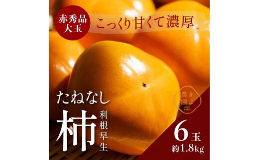 先行受付 柿(種無し) 赤秀品大玉 6個入 約1.8kg