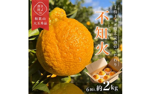 先行受付 不知火 希少な樹上完熟! 秀品大玉 6個入 ※2026年2月下旬～3月下旬頃に順次発送予定