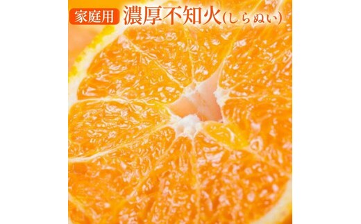 【先行予約】 有田育ちの濃厚 不知火 (デコポン と同品種)(訳あり 家庭用) 約10kg◇ ※2026年1月下旬～3月下旬頃に順次発送予定 ※沖縄・離島への配送不可