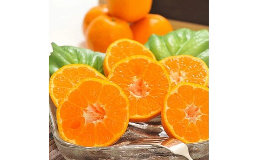 【先行予約】【冬の美味】【農家直送】濃厚ポンカン（ご家庭用）約10kg ｜ 有田 柑橘 フルーツ みかん オレンジ 産地直送 ※北海道・沖縄・離島への配送不可 ※2026年1月中旬～2月下旬頃に順次発送予定