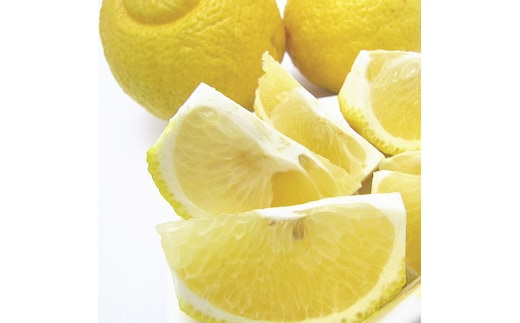 【先行予約】【農家直送】爽やかカンキツ はるかみかん（ご家庭用）約10kg