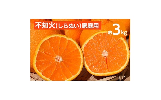 和歌山産 不知火 約3kg【家庭用】 ※2026年2月上旬～4月下旬頃より順次発送予定