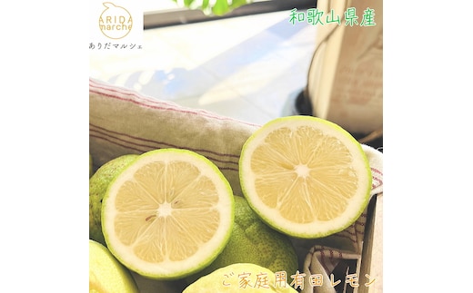【先行予約】 紀州 和歌山 ご家庭用 有田 レモン 【防腐剤・ワックス不使用】【農家直送】【訳あり】 1.5kg ※北海道・沖縄・離島への配送不可 ※2025年9月下旬～2026年3月下旬頃に順次発送予定