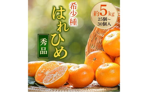 先行受付! はれひめ(みかんの希少種) 秀品 25個～30個入 約5kg ※2025年12月中旬～2026年1月下旬頃より順次発送予定