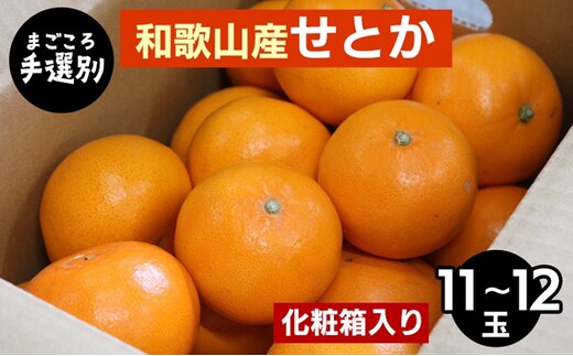 【先行予約】【まごころ手選別】和歌山県産 せとか 化粧箱 約3kg（11～12玉）秀品 L～3Lサイズ混合 柑橘
