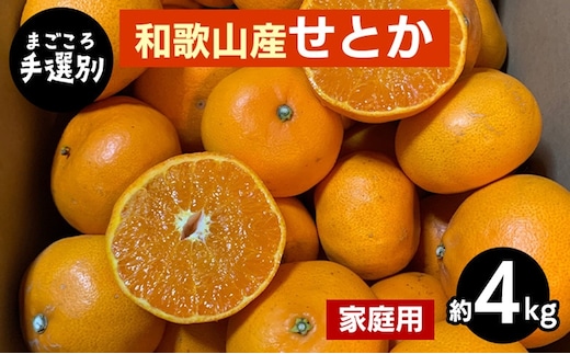 【まごころ手選別】和歌山産 せとか 約4kg 家庭用 ※2026年2月下旬～4月中旬頃より順次発送予定