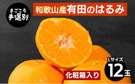【まごころ手選別】和歌山産有田のはるみ 化粧箱入り Lサイズ 12個入り ※2026年1月下旬～2月下旬頃より順次発送予定