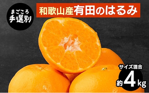 【まごころ手選別】和歌山産有田のはるみ 約4kg(サイズ混合) ※2026年1月下旬～2月下旬頃より順次発送予定