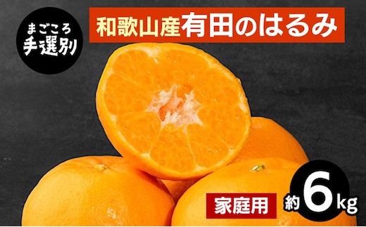 【まごころ手選別】和歌山産有田のはるみ 約6kg(家庭用) ※2026年1月下旬～2月下旬頃より順次発送予定