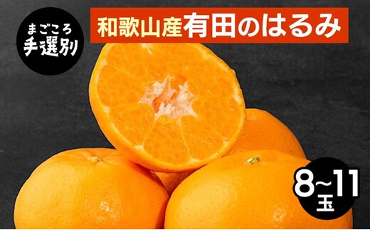 【まごころ手選別】和歌山産 有田のはるみ 8～11玉 ※2026年1月下旬～2月下旬頃より順次発送予定