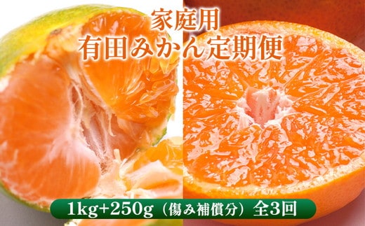 〈定期便〉【10・11・12月 全3回】家庭用 有田みかん定期便 1kg+250g（傷み補償分）※北海道・沖縄・離島への配送不可