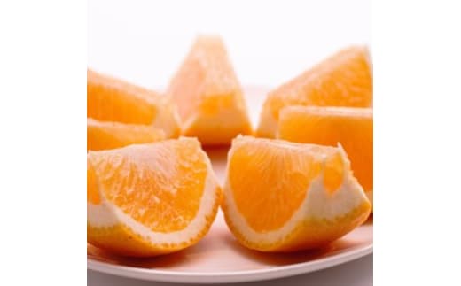 ＜4月より発送＞厳選 甘夏柑1kg+250g（傷み補償分）◇【初夏のみかん・旬の果物】【有田産】【光センサー食べ頃出荷】 ※北海道・沖縄・離島への配送不可 ※2026年4月上旬～5月下旬頃に順次発送予定