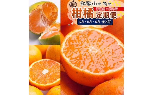 【定期便】家庭用 柑橘定期便 SS 3回（10～12月）※北海道・沖縄・離島への配送不可※10月・11月・12月に発送