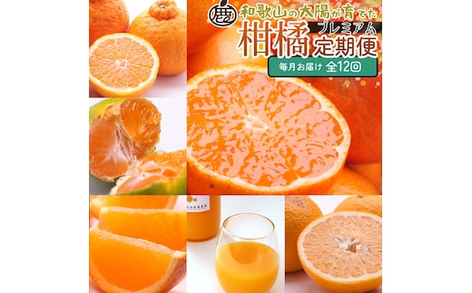 【定期便】厳選 柑橘定期便 S 12回（毎月）※北海道・沖縄・離島への配送不可※毎月発送