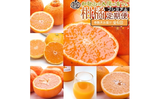 【定期便】厳選 柑橘定期便 S 6回（奇数月）※北海道・沖縄・離島への配送不可※奇数月に発送