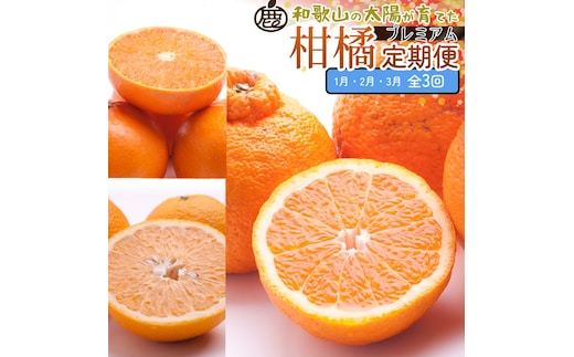 【定期便】厳選 柑橘定期便 S 3回（1～3月）※北海道・沖縄・離島への配送不可※1月・2月・3月に発送