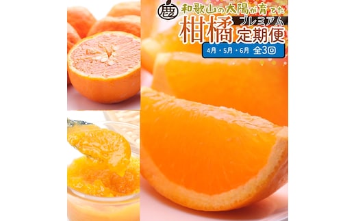 【定期便】厳選 柑橘定期便 S 3回（4～6月）※北海道・沖縄・離島への配送不可※4月・5月・6月に発送