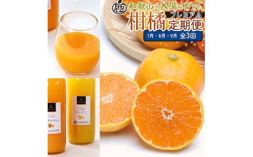 【定期便】厳選 柑橘定期便 S 3回（7～9月）※北海道・沖縄・離島への配送不可※7月・8月・9月に発送
