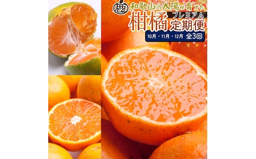 【定期便】厳選 柑橘定期便 S 3回（10～12月）※北海道・沖縄・離島への配送不可※10月・11月・12月に発送