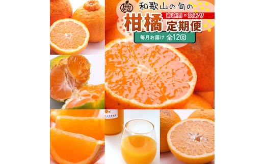 【定期便】家庭用 柑橘定期便 S 12回（毎月）※北海道・沖縄・離島への配送不可※毎月発送