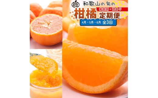 【定期便】家庭用 柑橘定期便 S 3回（4～6月）※北海道・沖縄・離島への配送不可※4月・5月・6月に発送