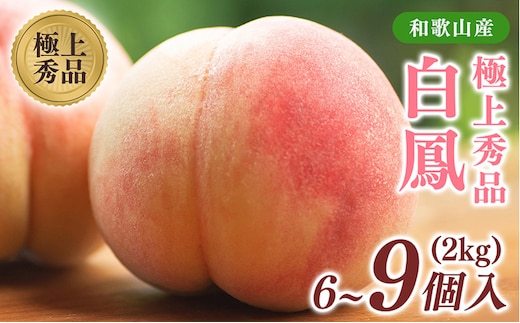 先行受付! 桃の王様【白鳳】 特秀品 約2kg 6～9個入