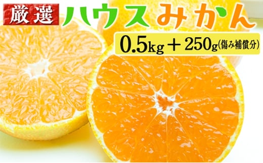 厳選 ハウスみかん0.5kg+250g（傷み補償分）