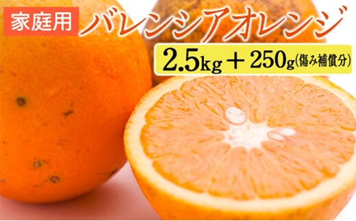 家庭用 バレンシアオレンジ2.5kg+250g（傷み補償分）