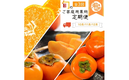 〈定期便〉【10・11・12月 全3回】紀州和歌山産旬のご家庭用果物セット(ひらたね・富有柿・みかん)