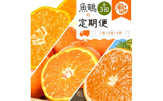 〈定期便〉【1・2・4月 全3回】紀州和歌山産旬の柑橘セット(みかん・不知火・清見)