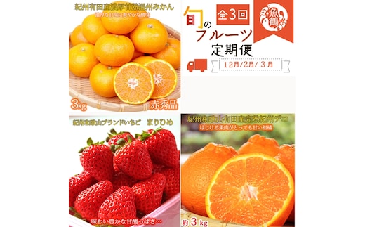 〈定期便〉【2・3・12月 全3回】紀州和歌山産旬のフルーツセット(まりひめ・紀州デコ・有田みかん)