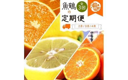 〈定期便〉【2・3・4月 全3回】紀州和歌山産旬の柑橘セット(不知火・レモン・清見)